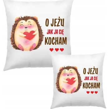 Polštář POLŠTÁŘ DÁREK - DÁREK PRO CHLAPCE/DÍVKU BÍLÝ S JEŽKEM 40x40cm