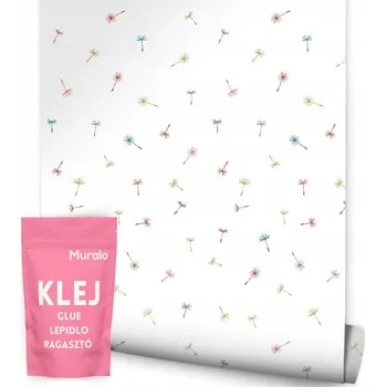 Fototapeta Tapeta do jídelny barevné semena pampelišky květ