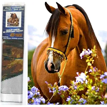 Diamantové malování Norimpex Koňská něha 30 × 40 cm