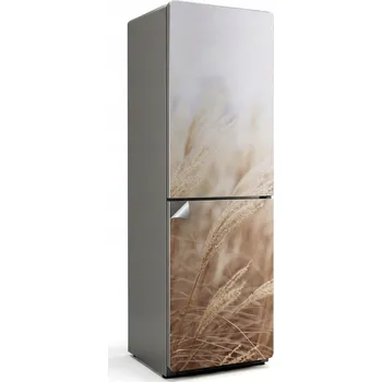 Fototapeta Samolepka Samolepicí na ledničku Sluneční stébla trávy