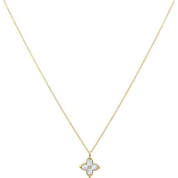 Řetízek Náhrdelník PIERRE LANNIER model RUBYA BJ23A0201