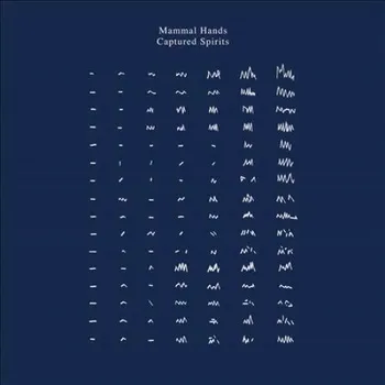 Zahraniční hudba CD Mammal Hands: Captured Spirits