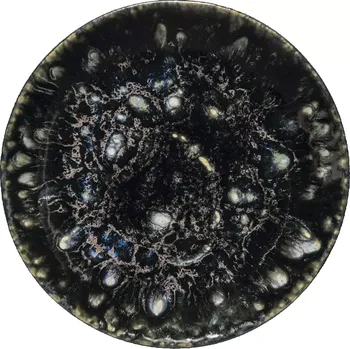 Talíř Mělký talíř Costa Nova Roda, výška: 25 mm, průměr: 219 mm, Iris