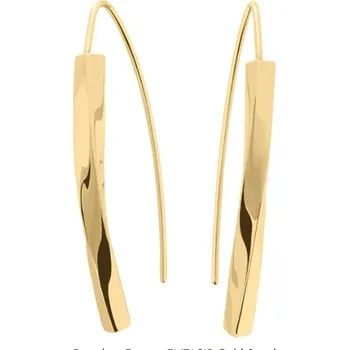 Módní doplněk Náušnice PIERRE LANNIER model ENTASIS BJ20A8201