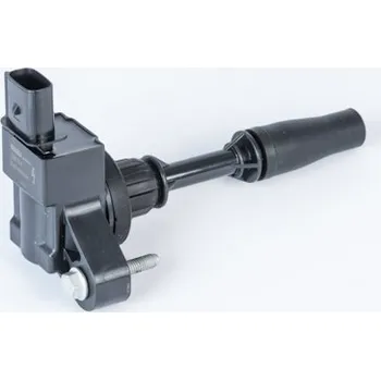 Zapalovací cívka Zapalovací cívka BorgWarner (BERU) ZSE234