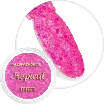 ALLEPAZNOKCIE Pudr Ozdoby Na Nechty 1g Tropický efekt Plameňák Č. 10