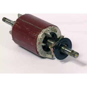 Drtič odpadu EcoMaster /38 - Rotor vč. odstředivého mechanismu spínače