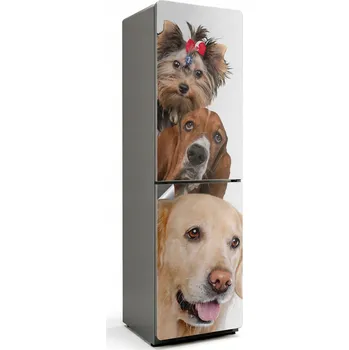 Fototapeta Samolepicí samolepka na ledničku Snadná Aplikace - Tři psi na jednom snímku