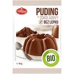 Amylon Bio Puding čokoládový 40 g