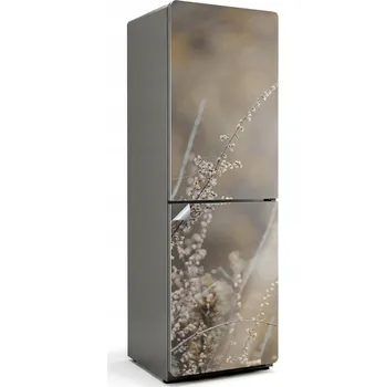 Fototapeta Samolepka na ledničku do bytu Samolepicí Jemné drobné rostliny