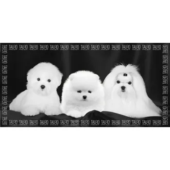 Kosmetika pro psa Ručníky pro psy Tauro 1 ks