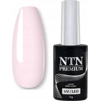 Lak na nehty NTN Premium Hybridní Lak na Nehty 5 ml - Kolekce Birthday Party Č. 46