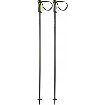 Sjezdová hůlka Lyžařské hole HEAD FRONTSIDE antracitově žluté 105 cm