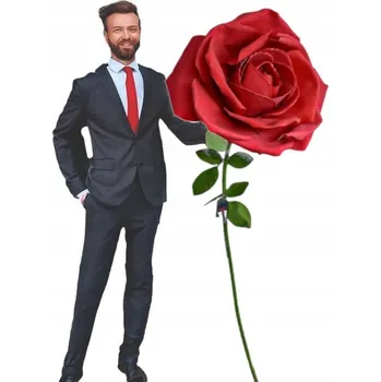 umělá květina STABILIZOVANÁ RŮŽE XXL UMĚLÁ RŮŽE 160 cm DÁREK K VALENTÝNU PRO DÍVKU