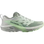Salomon Sense Ride 5 W L47314100