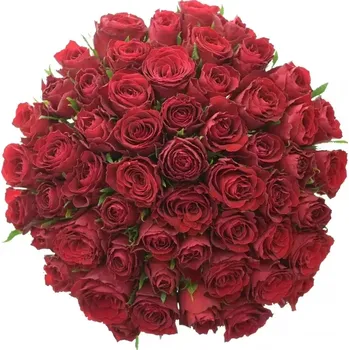 umělá květina Kytice 55 červených růží MADAM RED 50 cm