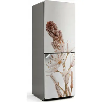 Fototapeta Samolepicí nálepka na ledničku do kuchyně Jemná rostlina v přiblížení