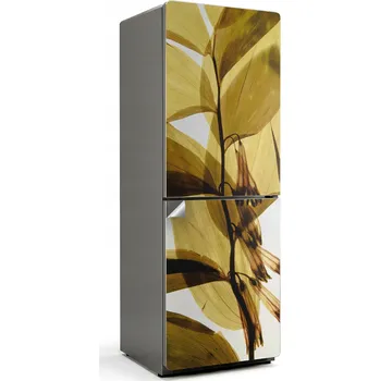 Fototapeta Samolepka na ledničku do bytu Samolepicí Průhledné listy a květiny