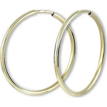 Náušnice Brilio Náušnice zlaté kruhy 745 231 001 00485 0000000 + 2 měsíce na vrácení zboží
