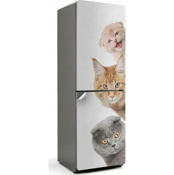 Fototapeta Samolepka / Fólie na ledničku s technologií Easy Stick - Roztomilé kočky v řadě