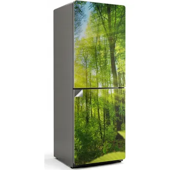 Fototapeta Samolepicí samolepka na ledničku Snadná Montáž Sluneční paprsky v lese