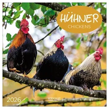 Hühner 2026 - Korsch Verlag