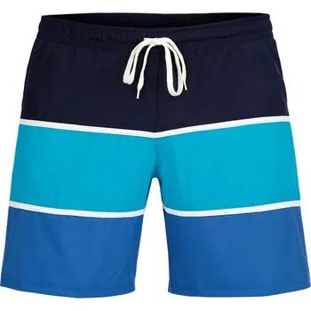 Pánské koupací šortky 6F449 LITEX L