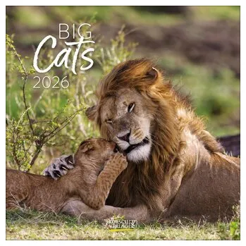 Big Cats 2026 - Korsch Verlag