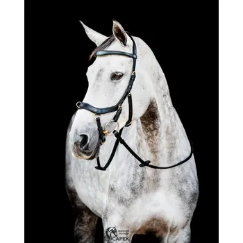 Uzdečka Horseware -MICKLEM 2 MULTI- - Černá - SH - Full