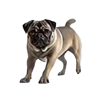 samolepka Samolepky - pejsci II (sada 5 ks)