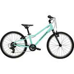 kolo Kross Liftie 20" - Mint/Black 10" (115-130cm)