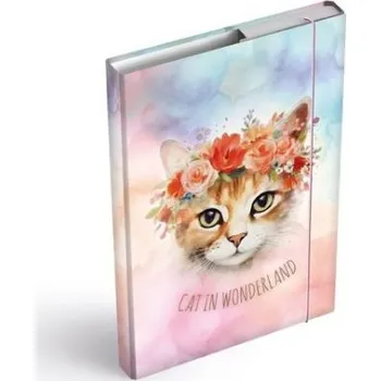 desky na sešit Desky na sešity MFP box A4 Cat