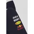 Dámská mikina Red Bull Racing 2024 Team Hoodie 201084103, L