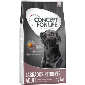 Krmivo pro psa 12kg Concept for Life Labradorský retrívr Adult