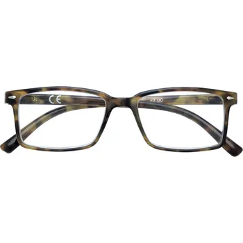 Brýle na čtení 31ZB21PNG250 Zippo brýle na čtení +2.5