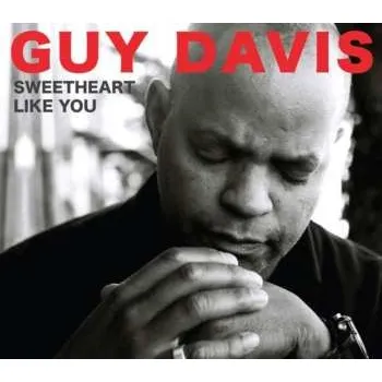 Zahraniční hudba CD Guy Davis: Sweetheart Like You 2009