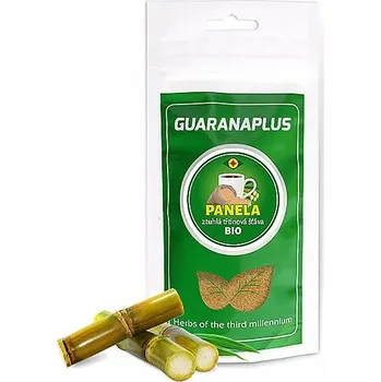 Přírodní produkt GUARANAPLUS Panela, ztuhlá třtinová šťáva 100 g