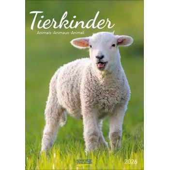 Tierkinder 2026 - Korsch Verlag