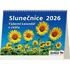 Kalendář Helma365 Stolní plánovací kalendář Slunečnice 2026
