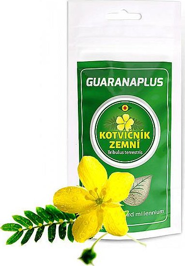 Kotvičník prášek 100 g