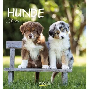 Hunde 2026 - Korsch Verlag [DE] (2025, Kalendář, Korsch Verlag GmbH)