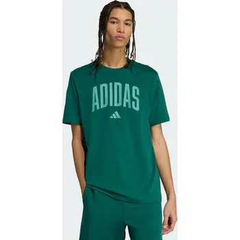 Pánské tričko ADIDAS Tričko Collegiate Lineage Graphic XS ZELENÁ