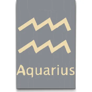 Malování podle čísel - Znamení zvěrokruhu - Aquarius Velikost: 20x30cm, Rámování: Pouze srolované plátno