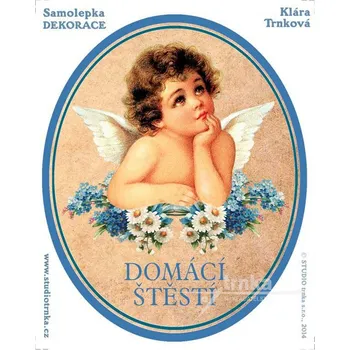 samolepka Dekorační samolepky - Domácí štěstí, modrý andělíček