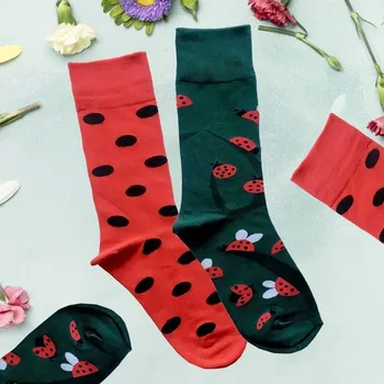 Dámské ponožky Veselé ponožky beruška uni