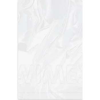 Sáček na potraviny Sáček plochý (LDPE) silný transparentní 20 x 30 cm [100 ks]