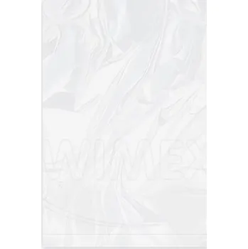 Sáček plochý (LDPE) silný transparentní 25 x 35 cm [100 ks]