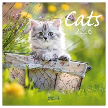 Cats 2026 - Korsch Verlag