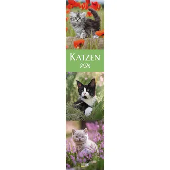 Katzen Langplaner 2026 - Korsch Verlag