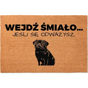 KOKOSOVÁ ROHOŽKA 40X60 KE DVEŘÍM HIT NÁPIS VSTUP, POKUD SE ODVÁŽÍŠ.